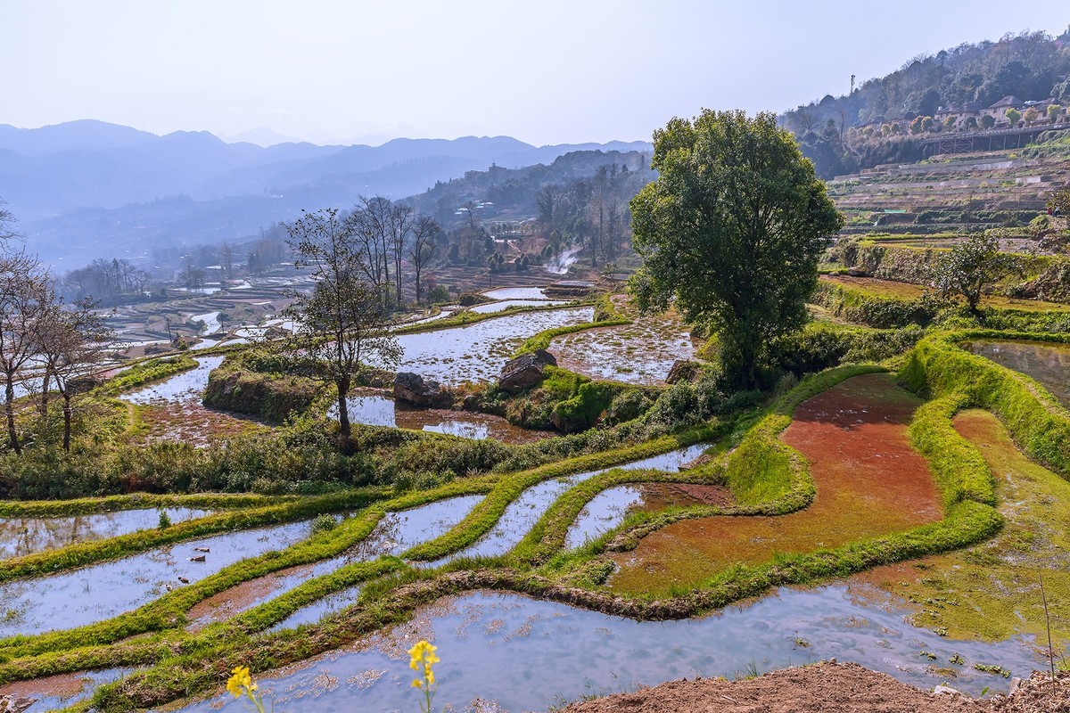 旅游记录 ：云南 · 红河 · 元阳 · 箐口村