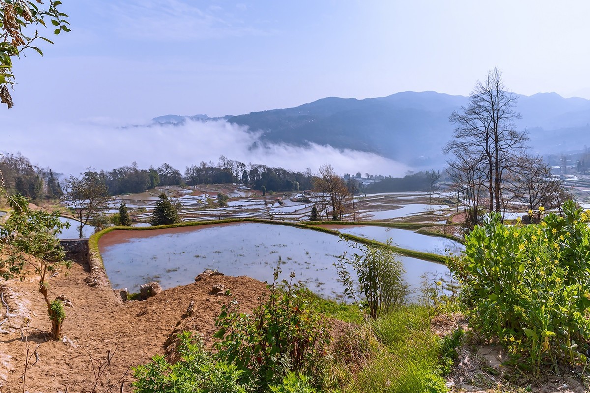 旅游记录 ：云南 · 红河 · 元阳 · 箐口村