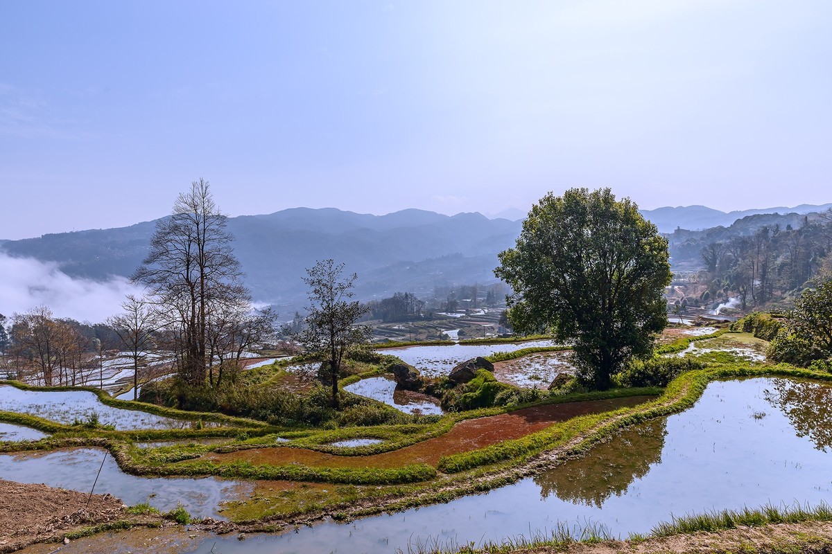 旅游记录 ：云南 · 红河 · 元阳 · 箐口村