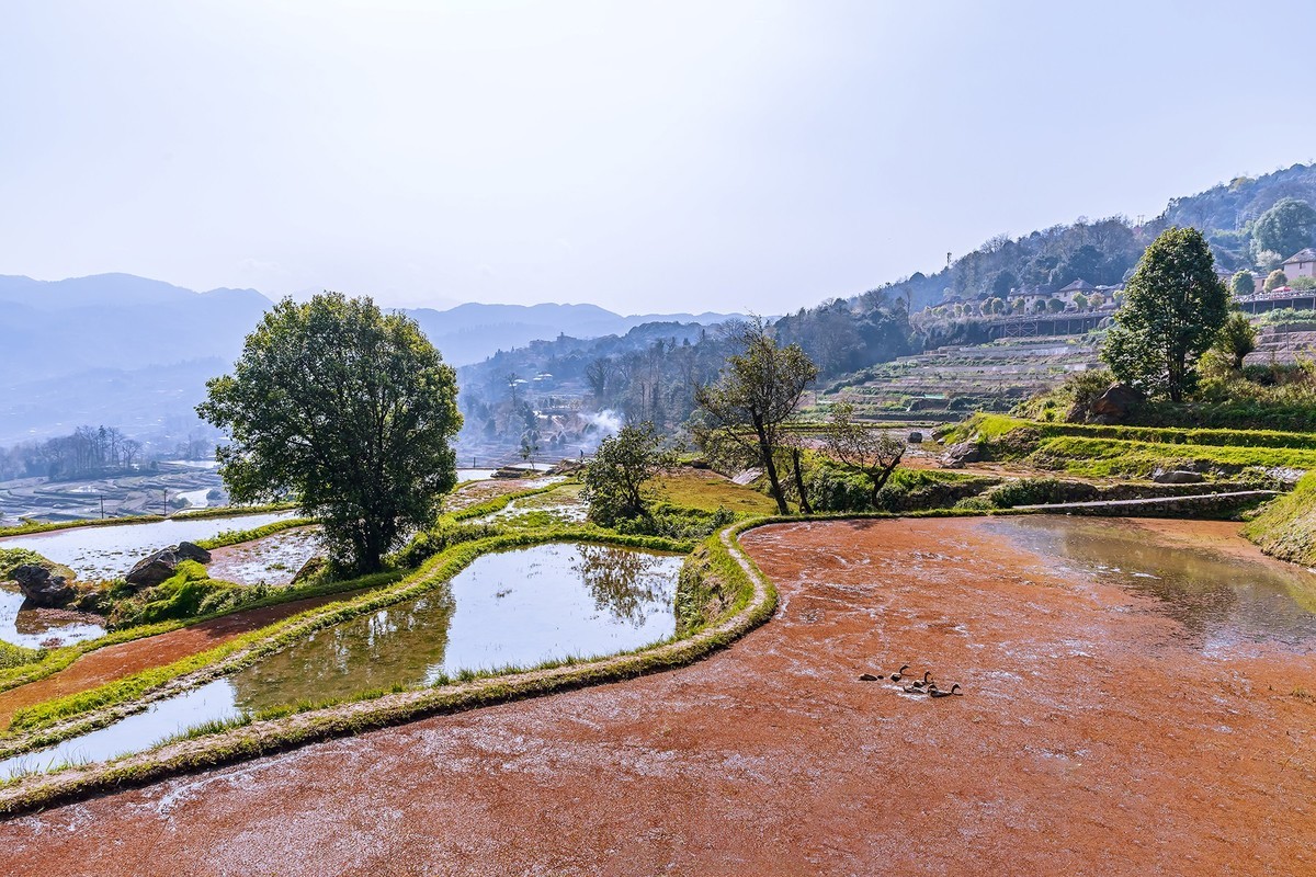 旅游记录 ：云南 · 红河 · 元阳 · 箐口村
