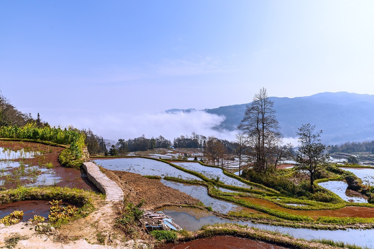 旅游记录 ：云南 · 红河 · 元阳 · 箐口村