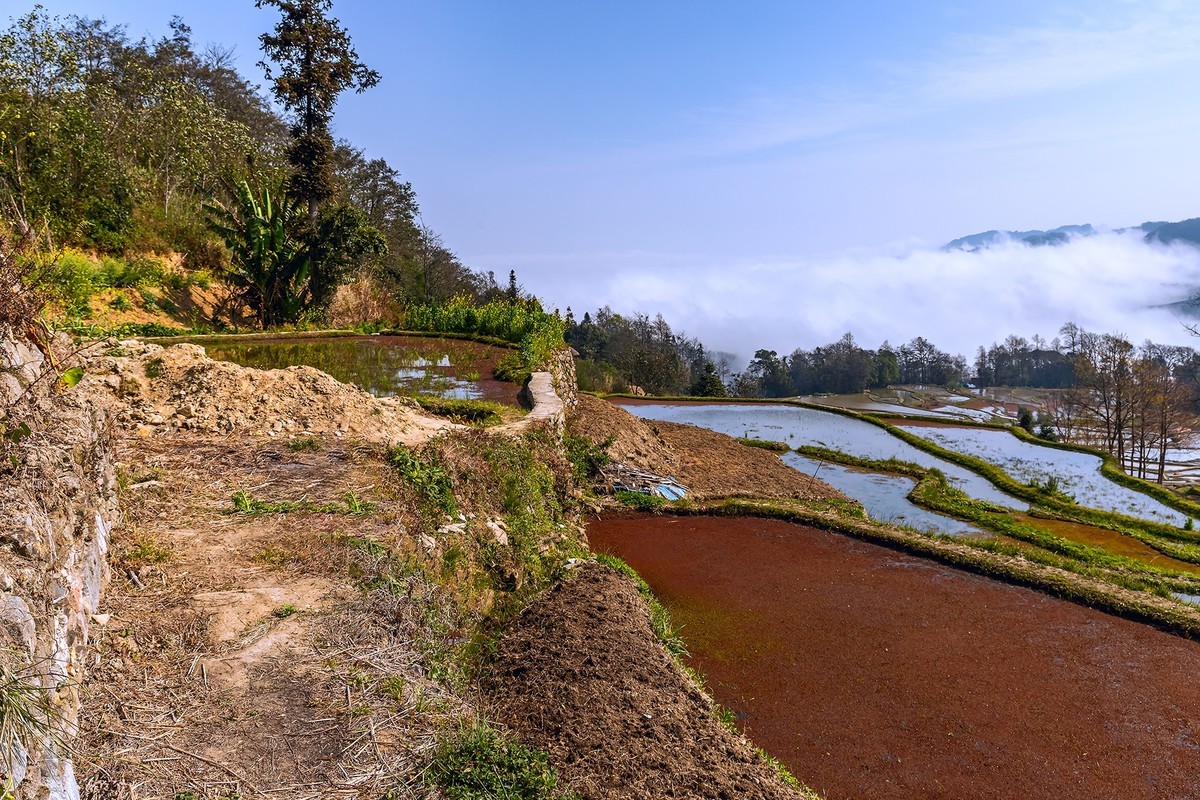 旅游记录 ：云南 · 红河 · 元阳 · 箐口村
