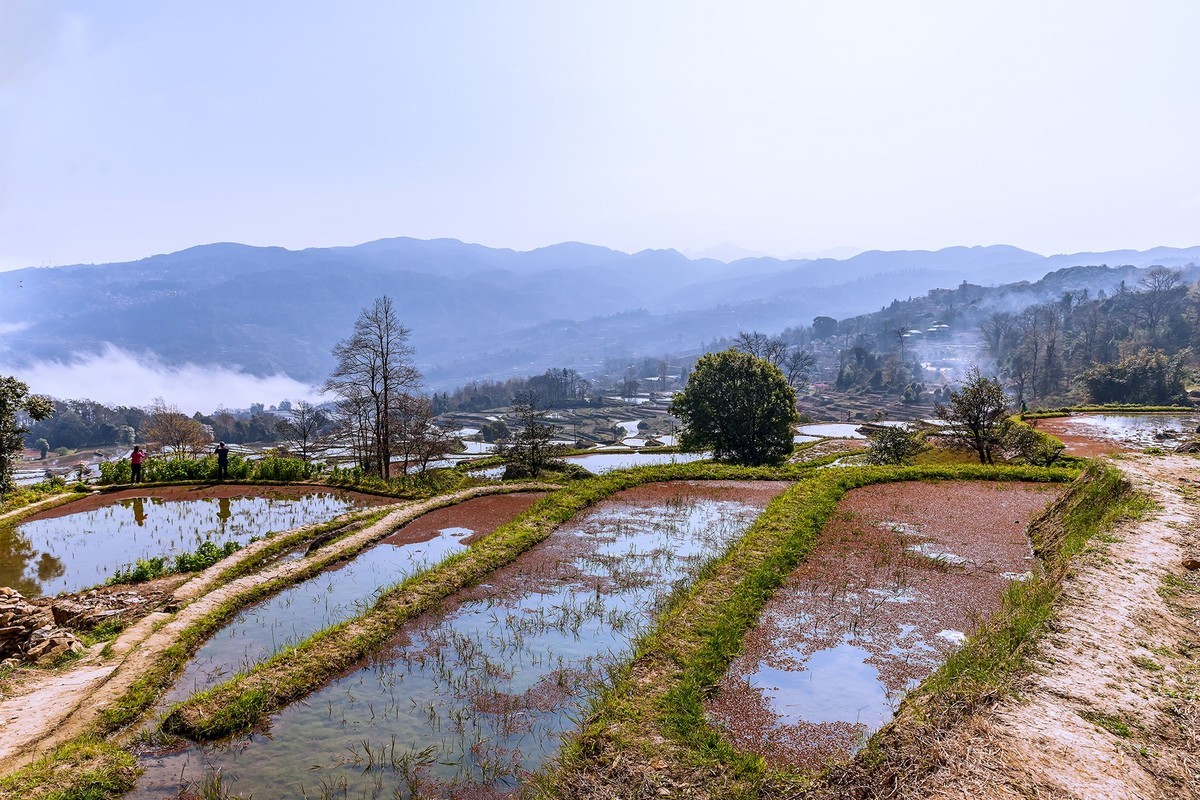 旅游记录 ：云南 · 红河 · 元阳 · 箐口村