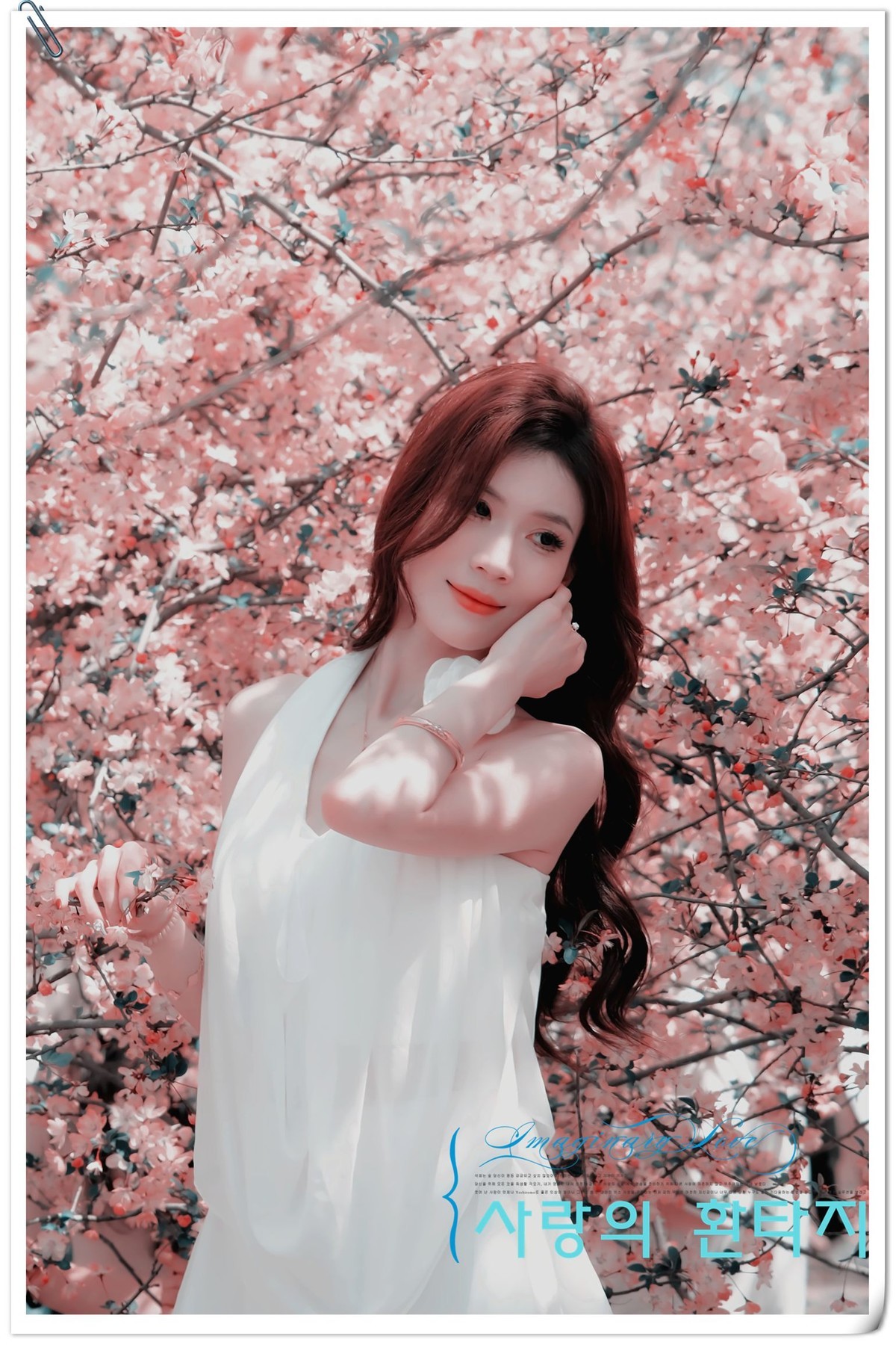 当樱花盛开浪漫时…