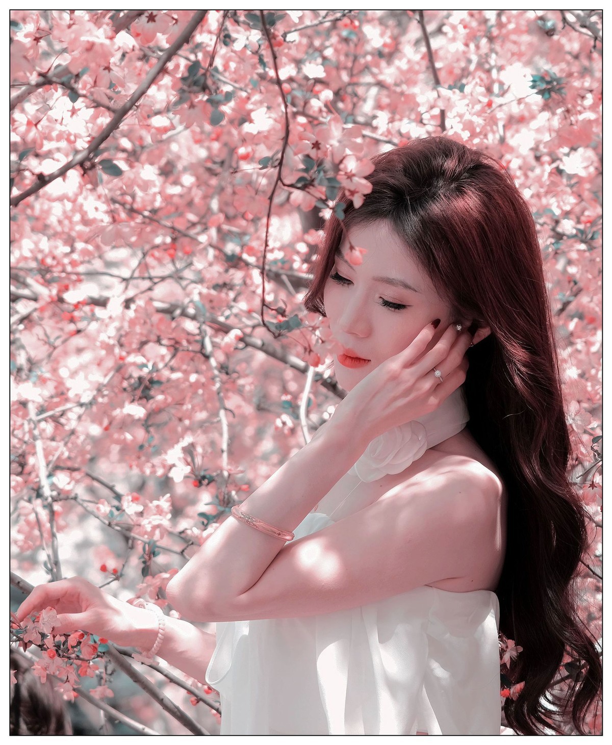 当樱花盛开浪漫时…