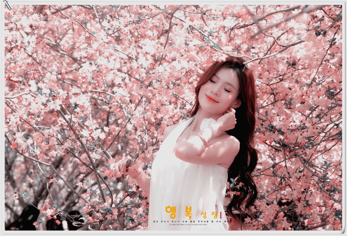 当樱花盛开浪漫时…