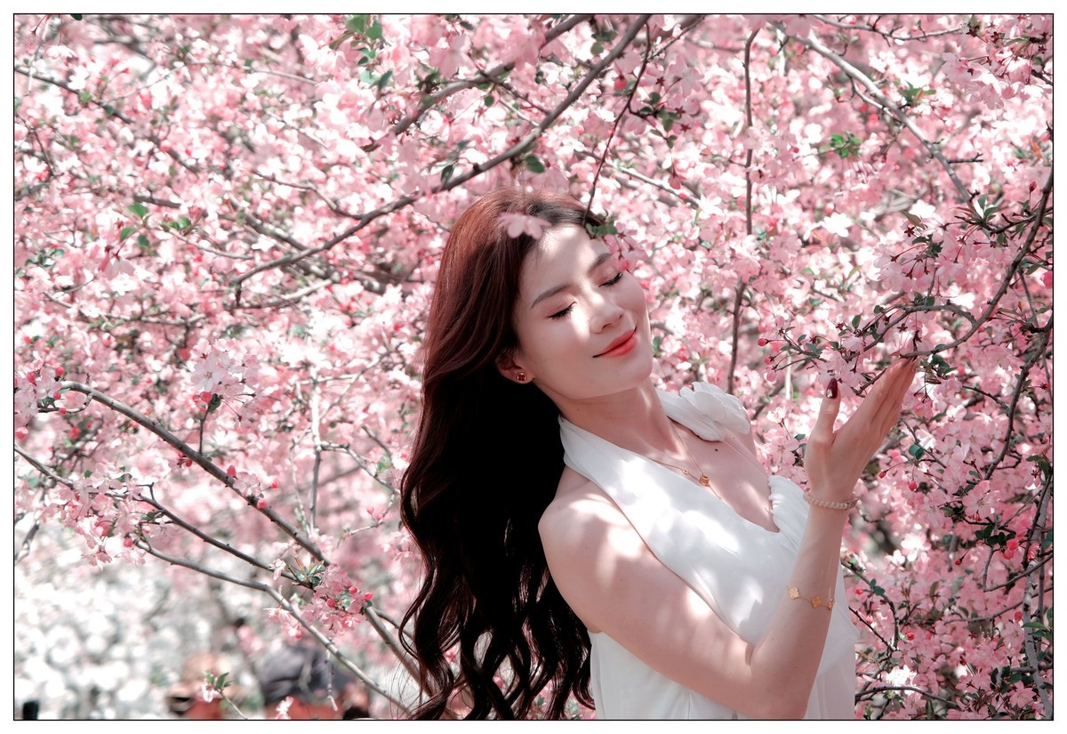 当樱花盛开浪漫时…