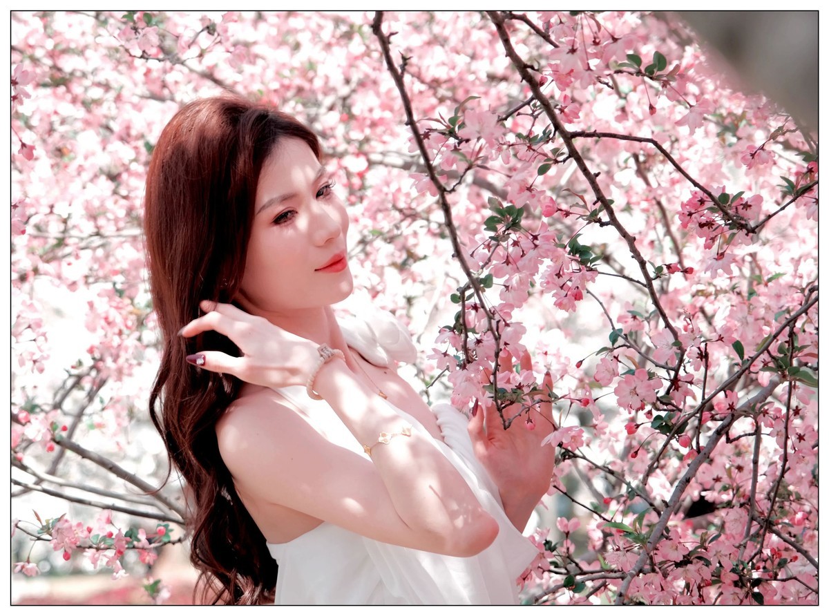 当樱花盛开浪漫时…