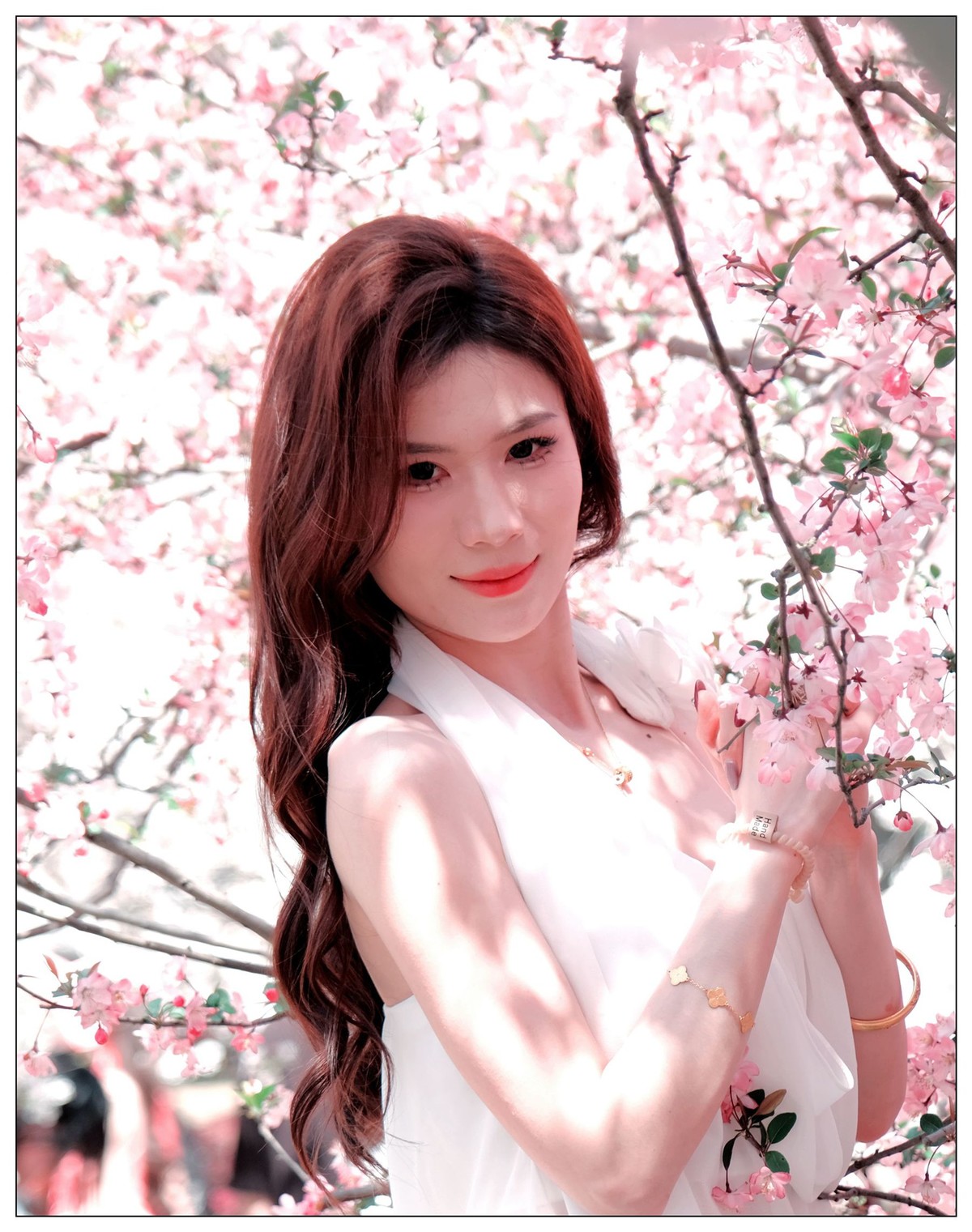 当樱花盛开浪漫时…