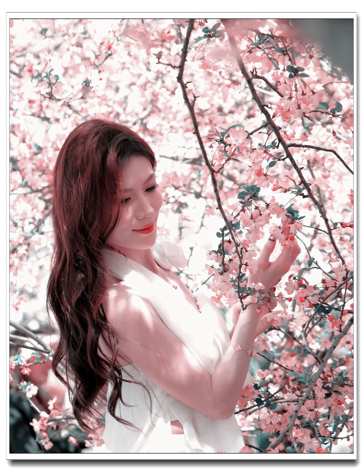 当樱花盛开浪漫时…