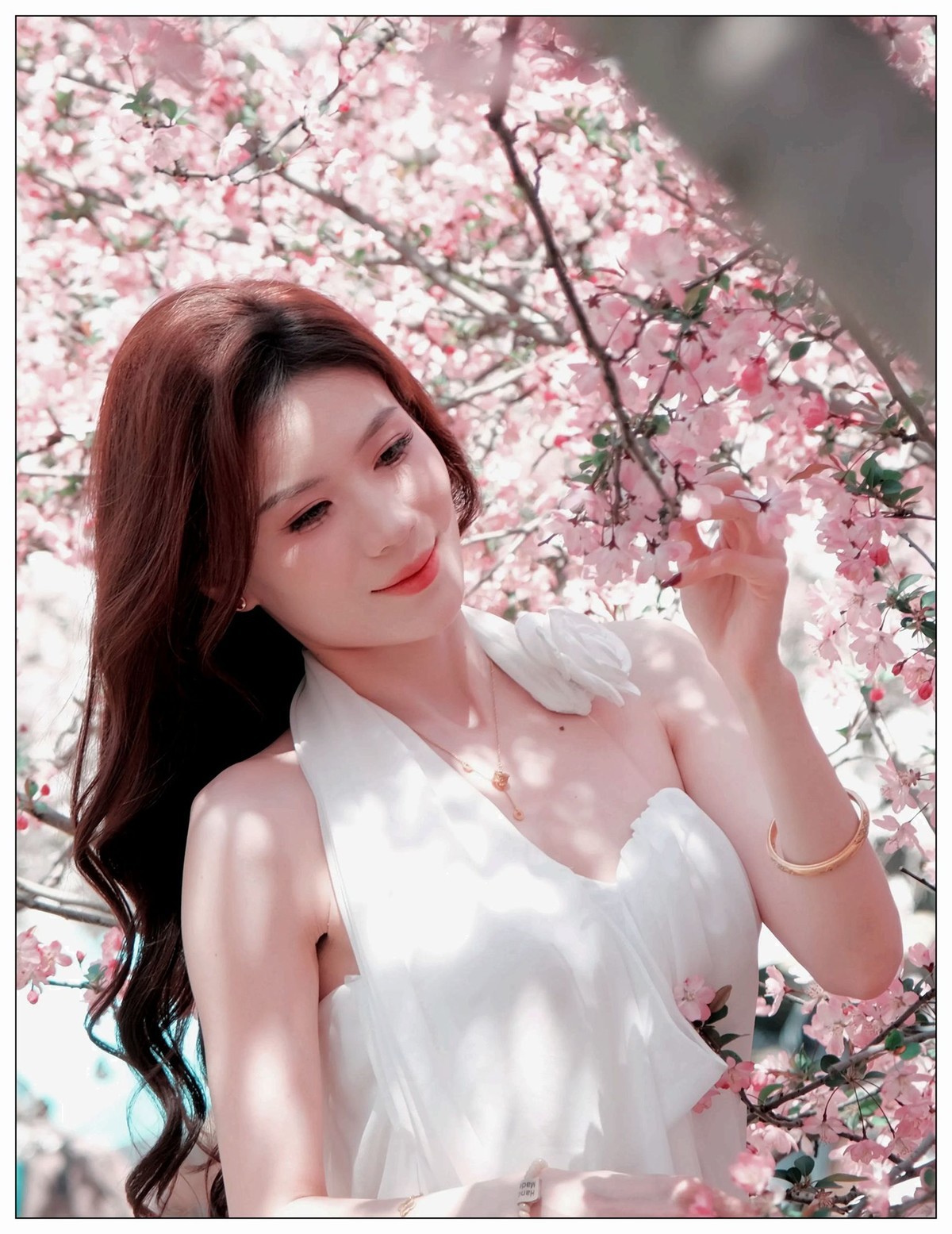 当樱花盛开浪漫时…