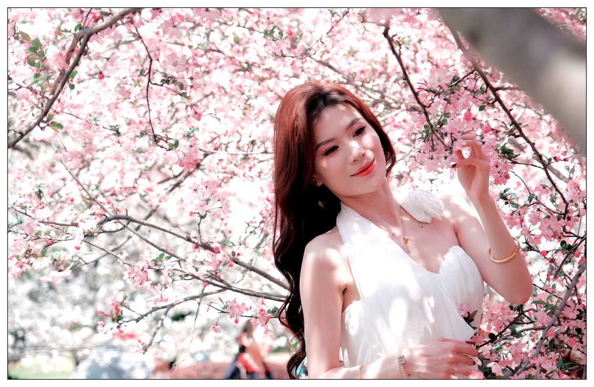 当樱花盛开浪漫时…