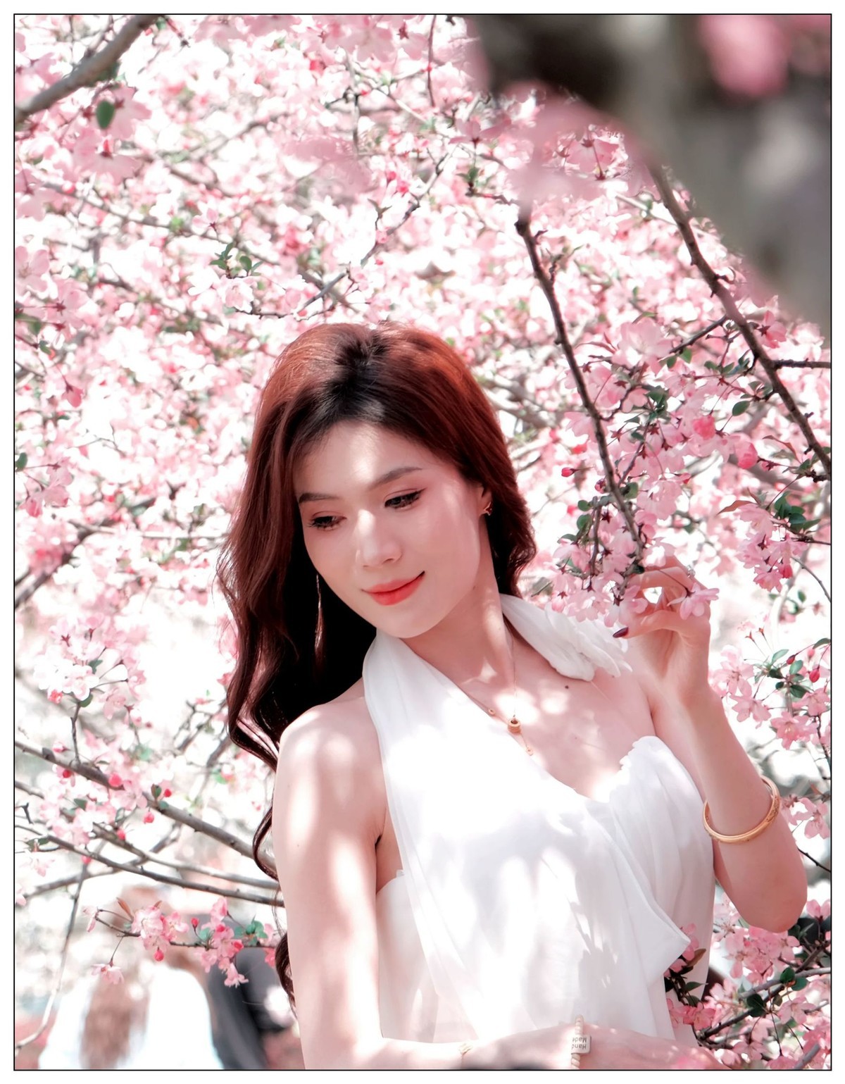 当樱花盛开浪漫时…