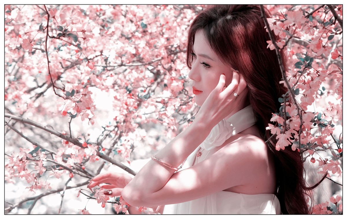 当樱花盛开浪漫时…