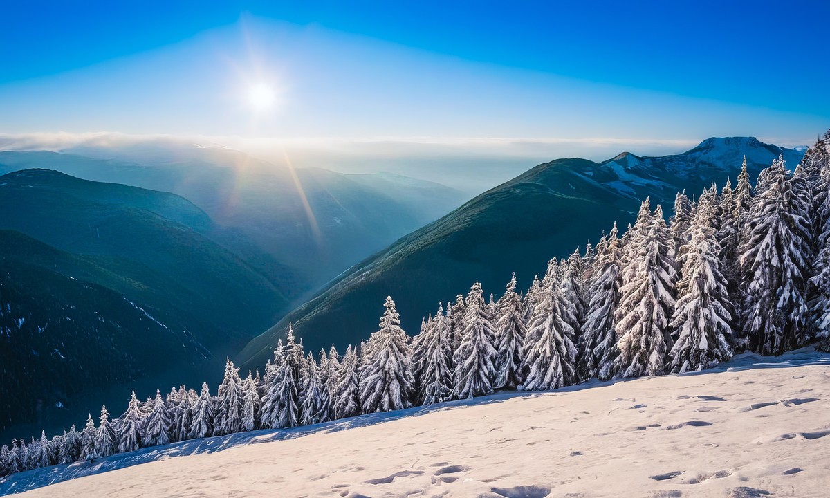 日出美景尽收眼底