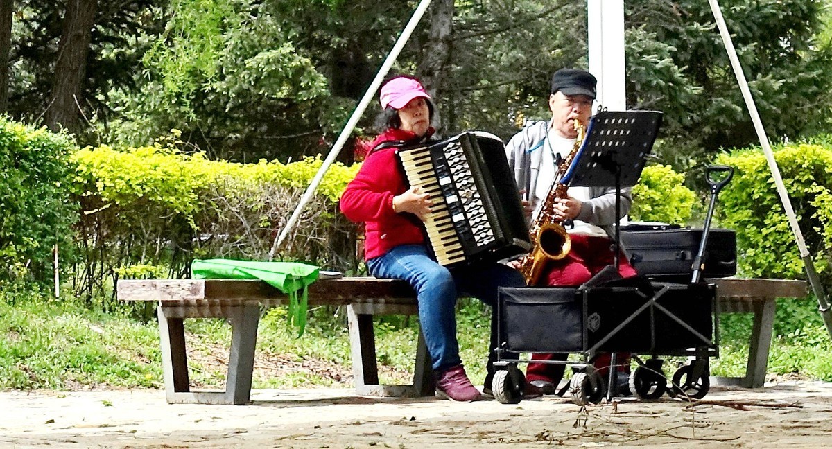 手风琴萨克斯合奏