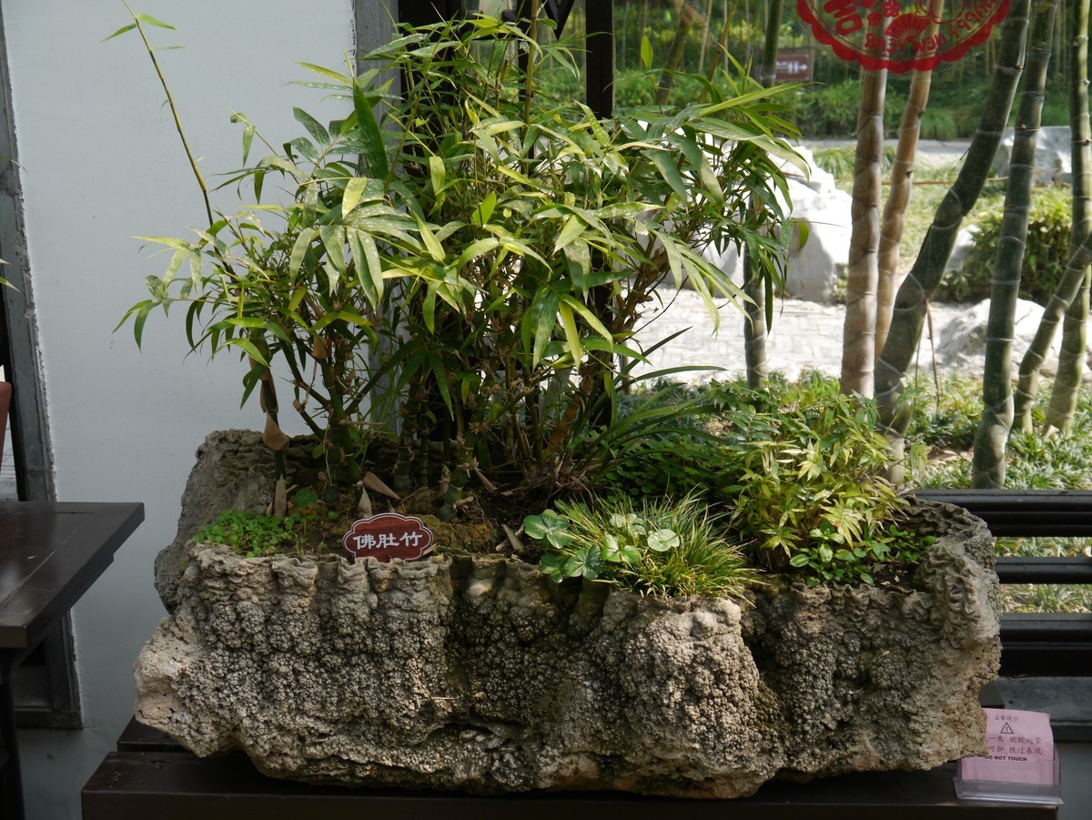 江南行之扬州篇--走进个园（1）