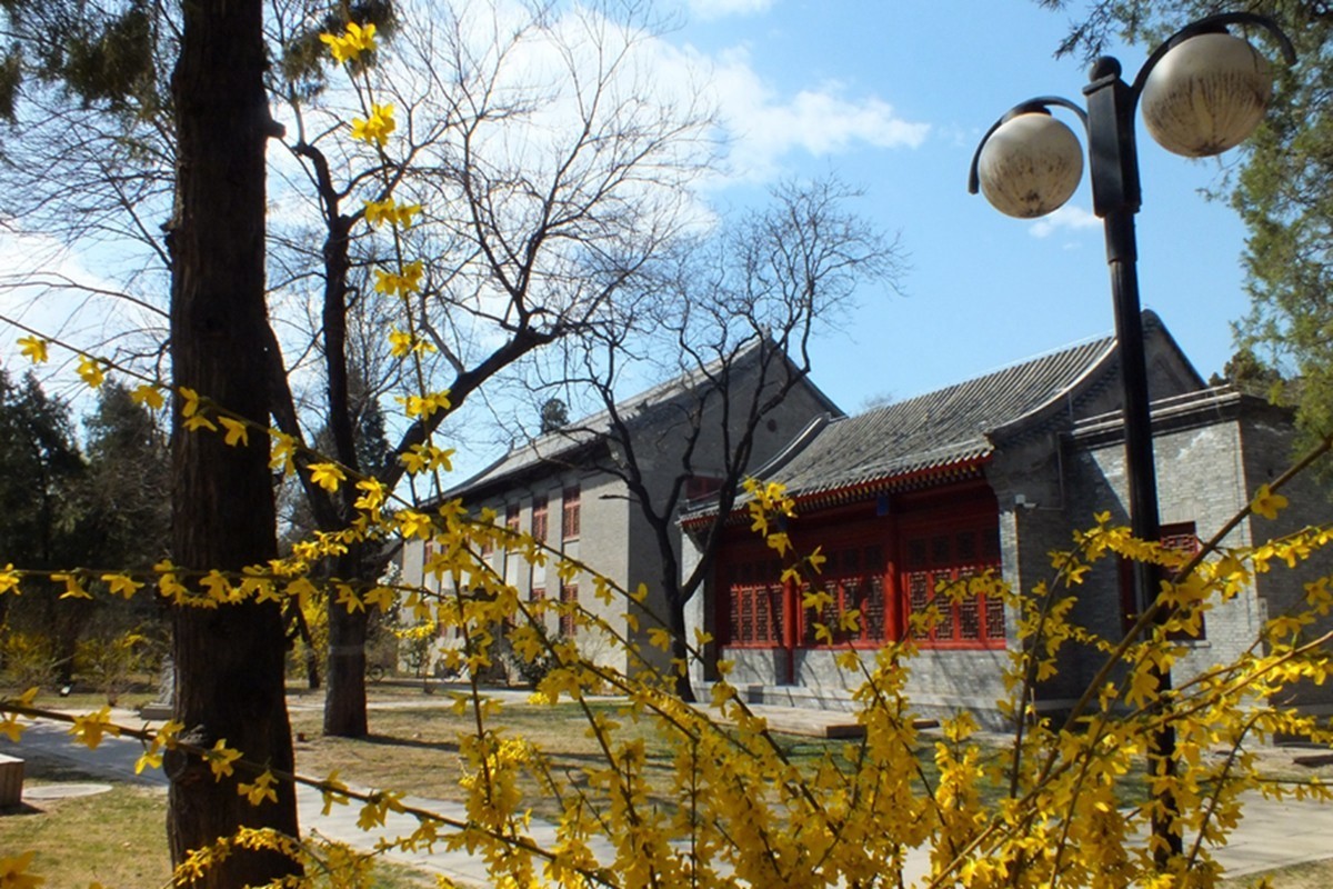 春天里的北大校园