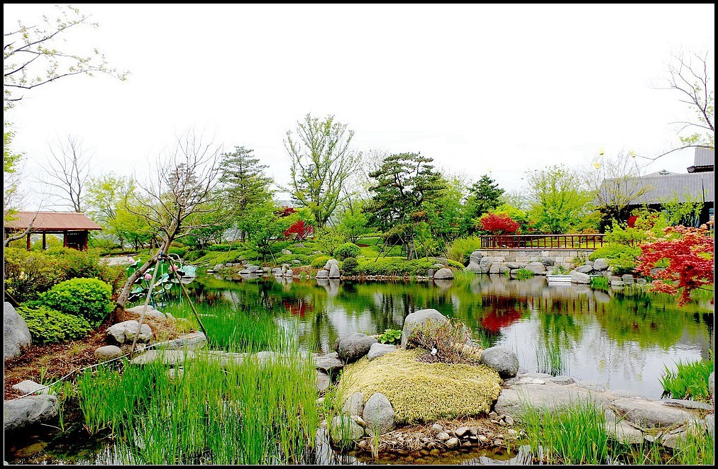 青岛阿朵花屿  【1022】