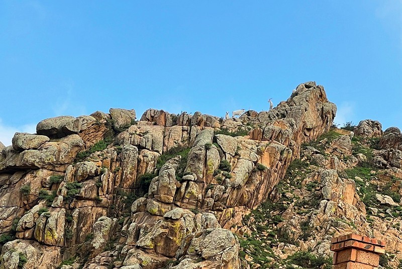 《不老松：纪实摄影》手机片：06张家口康保正山湾景！