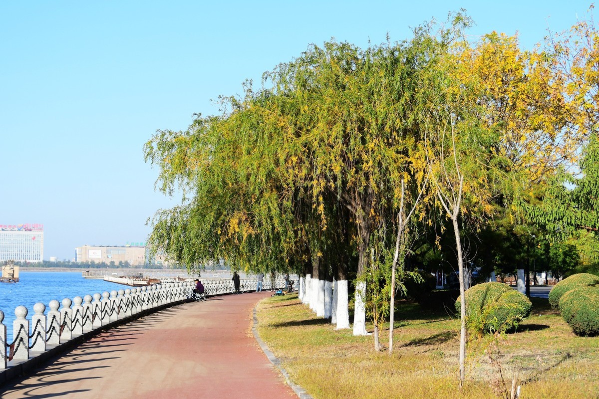 周日城边溜达抓住秋天的小尾巴