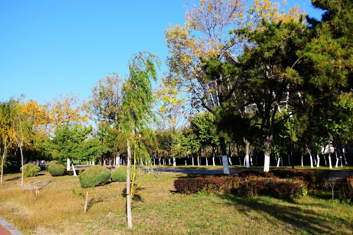 周日城边溜达抓住秋天的小尾巴