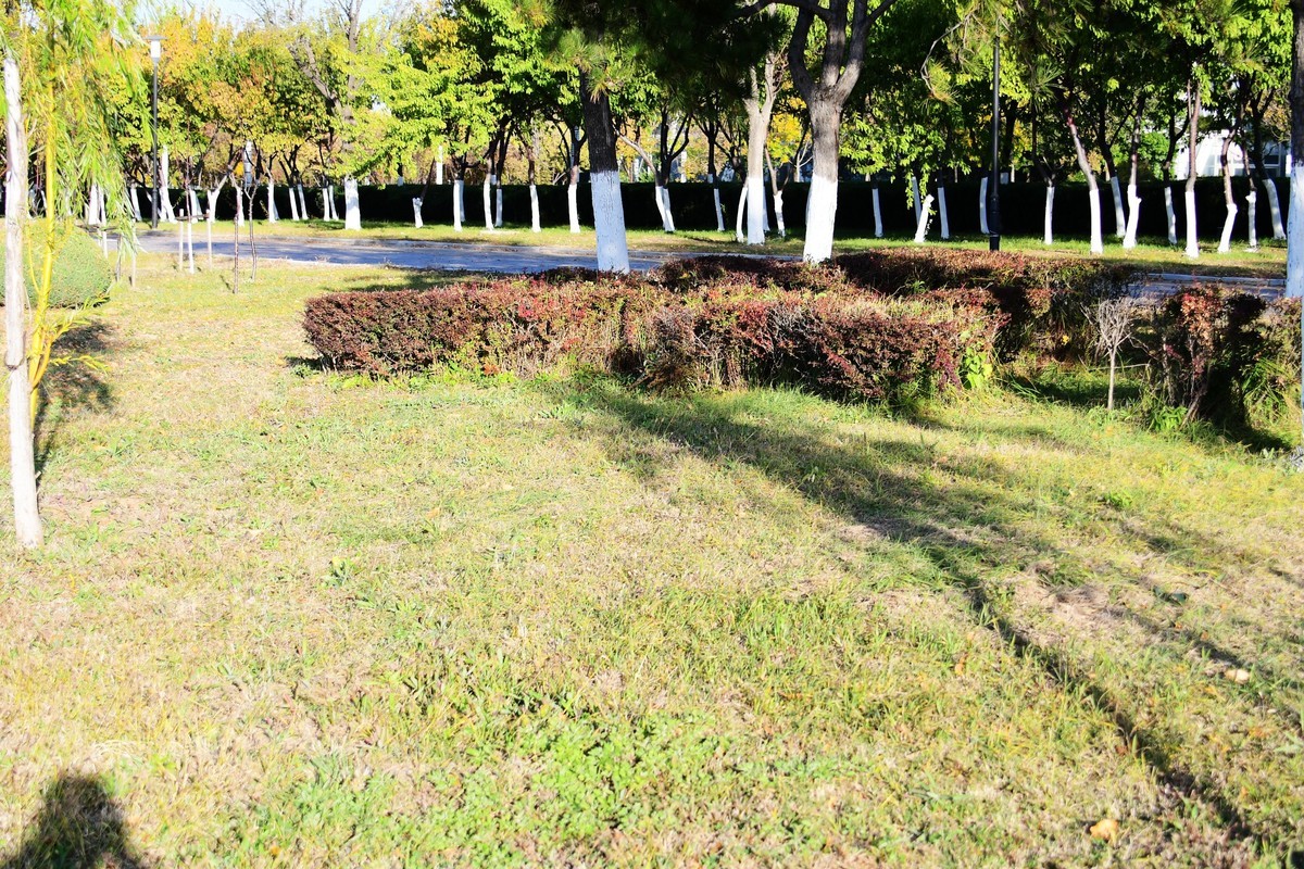 周日城边溜达抓住秋天的小尾巴