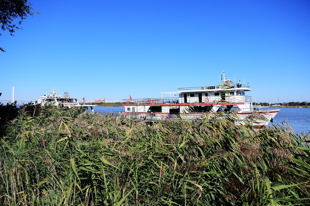 周日城边溜达抓住秋天的小尾巴