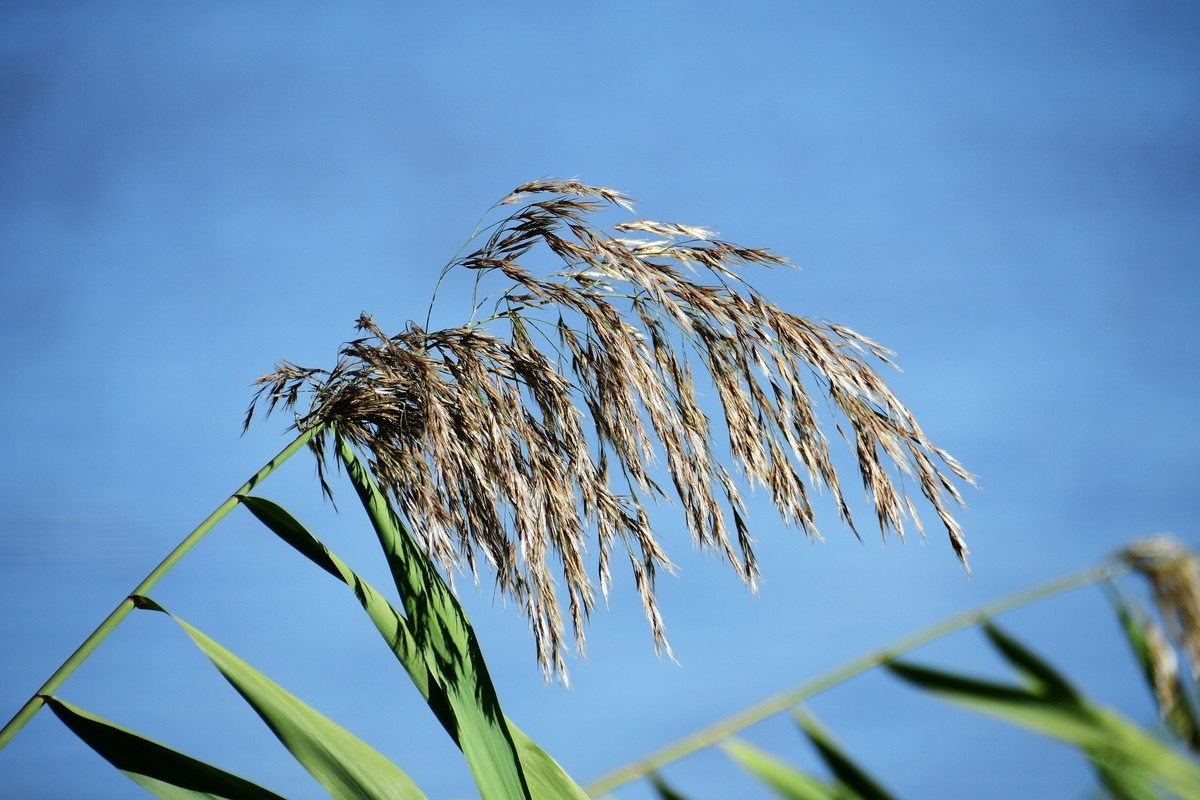周日城边溜达抓住秋天的小尾巴