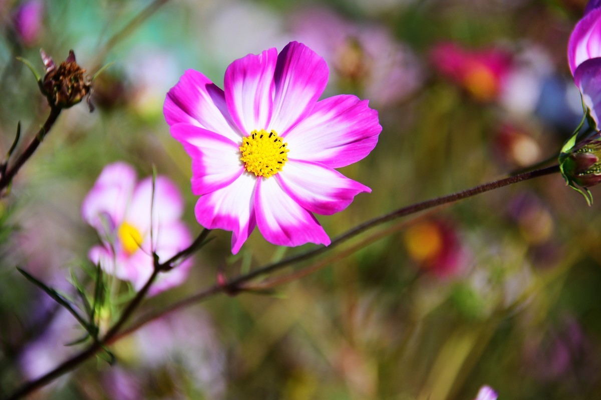 周日城边溜达抓住秋天的小尾巴