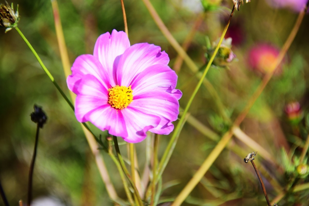周日城边溜达抓住秋天的小尾巴