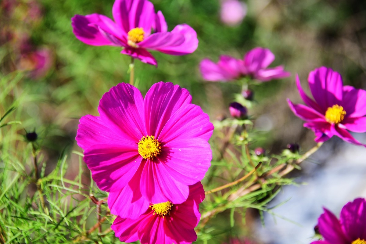 周日城边溜达抓住秋天的小尾巴