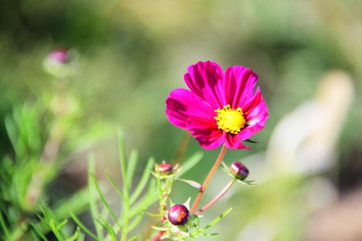 周日城边溜达抓住秋天的小尾巴