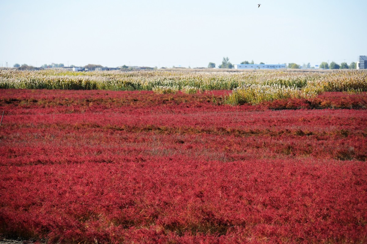 周日城边溜达抓住秋天的小尾巴
