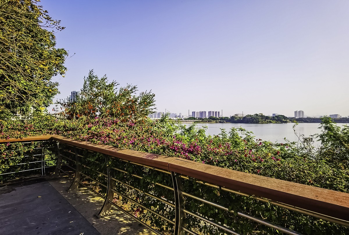 深圳立新湖公园～ 掠影