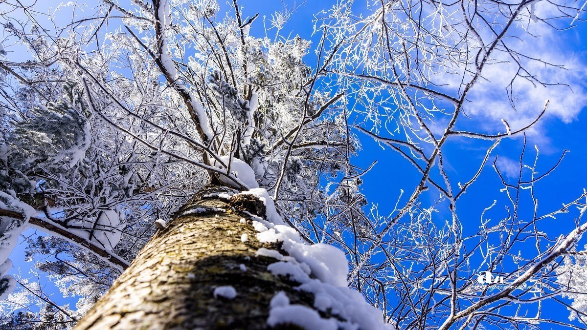 #版主坐堂#索尼大版星空(中国)2024年 2 月份优秀作品精选汇总