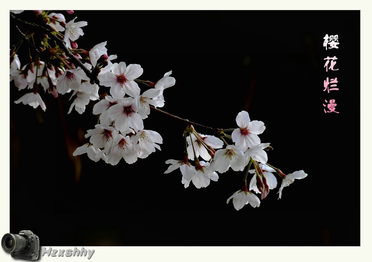 #版主坐堂#索尼大版星空(中国)2024年 2 月份优秀作品精选汇总