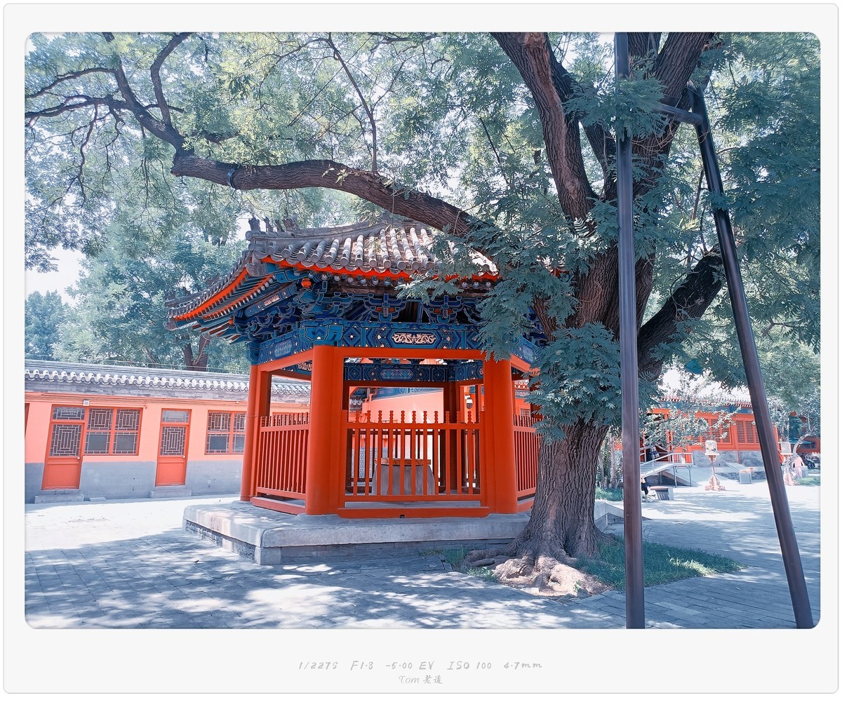 先农坛之美轮美奂（40图）