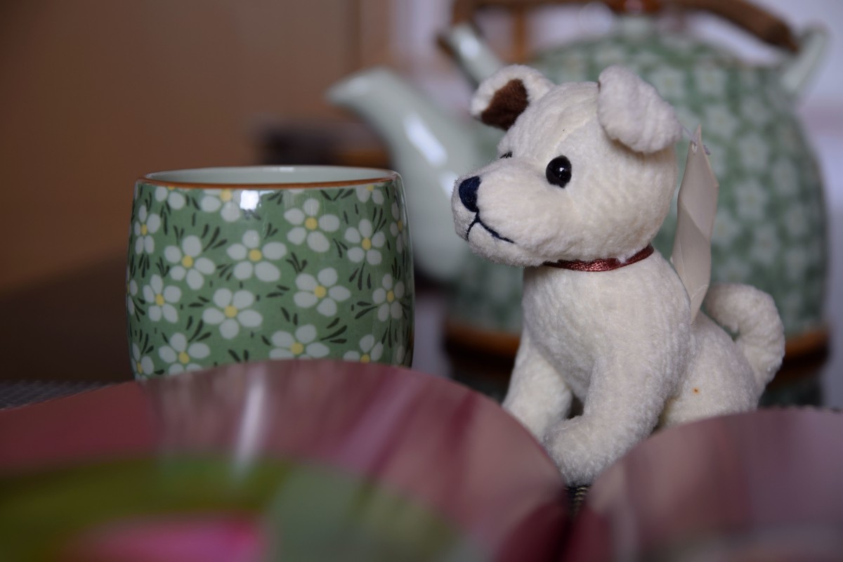 学习就会有进步