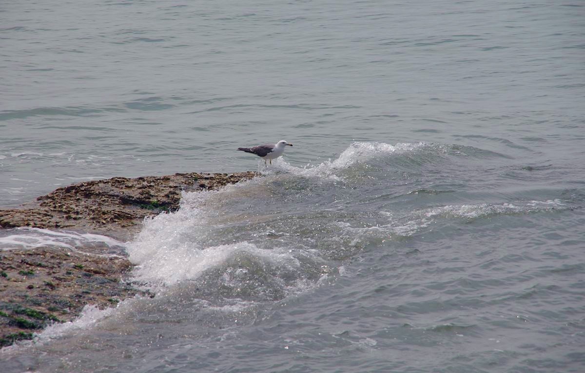 长岛九丈崖景区游记-6