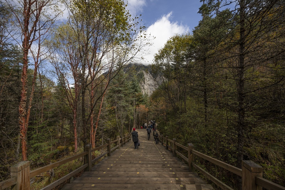 1104游山玩水随拍(九寨沟风景)