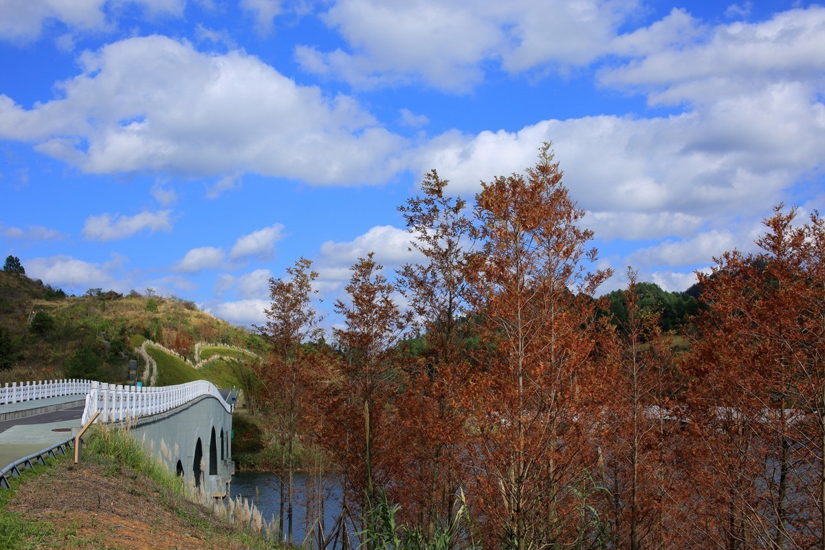走马观花都匀绿博园（壹）