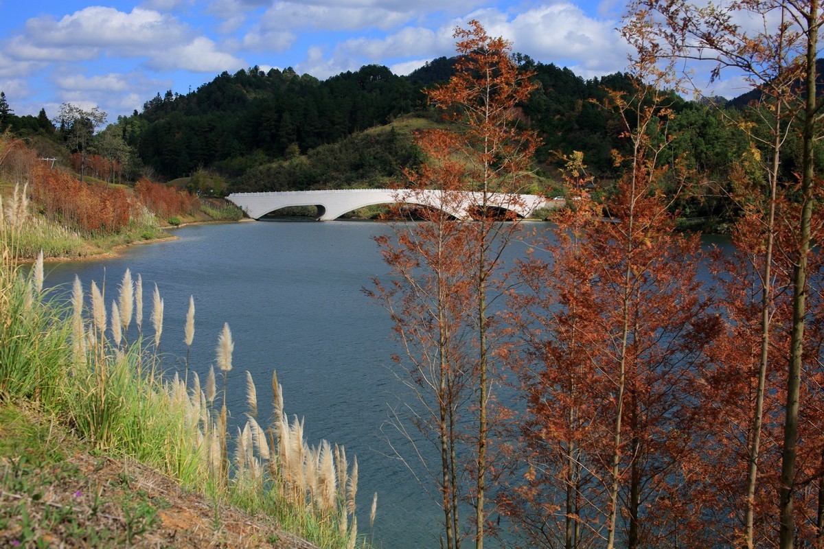 走马观花都匀绿博园（壹）