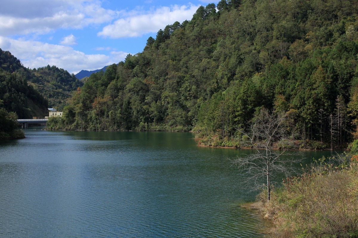 走马观花都匀绿博园（壹）