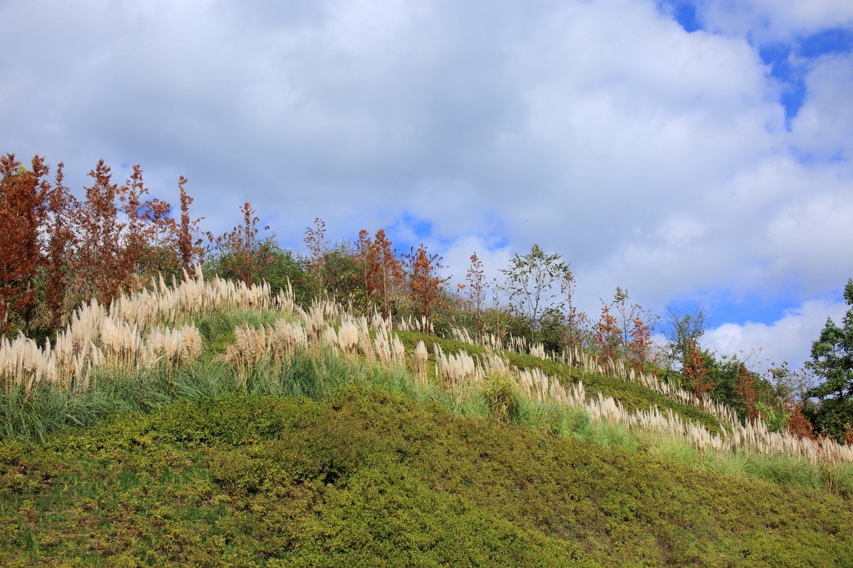 走马观花都匀绿博园（壹）