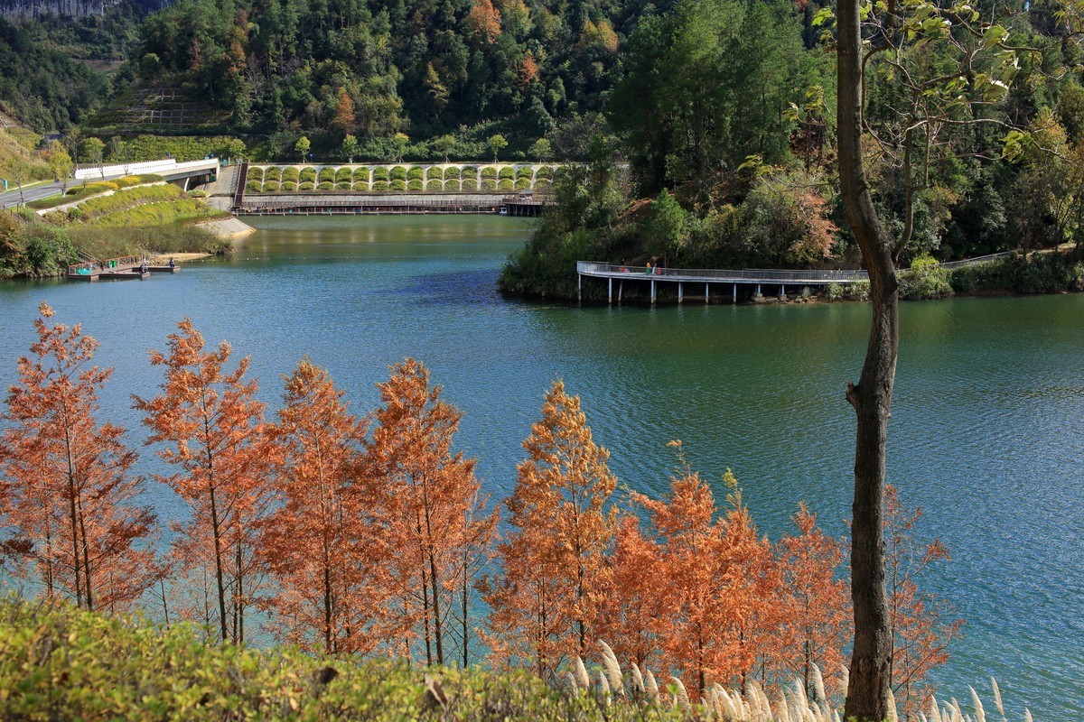 走马观花都匀绿博园（壹）