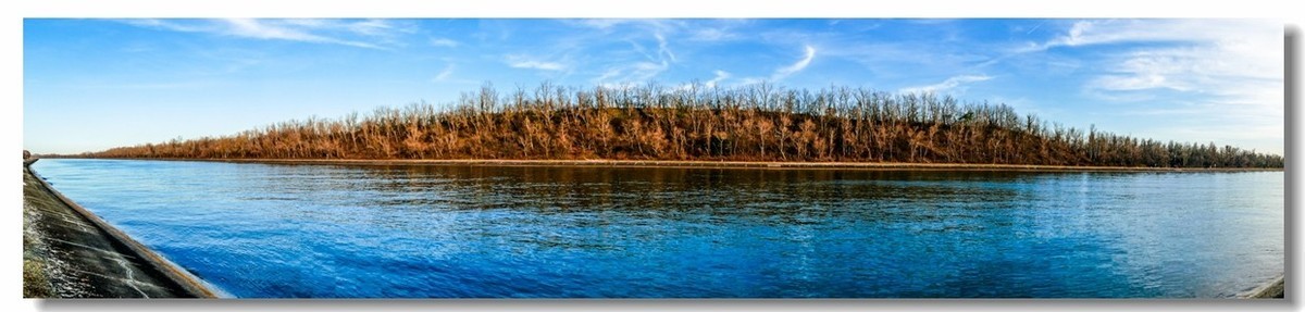 莱茵水暖“（天）鹅”先知