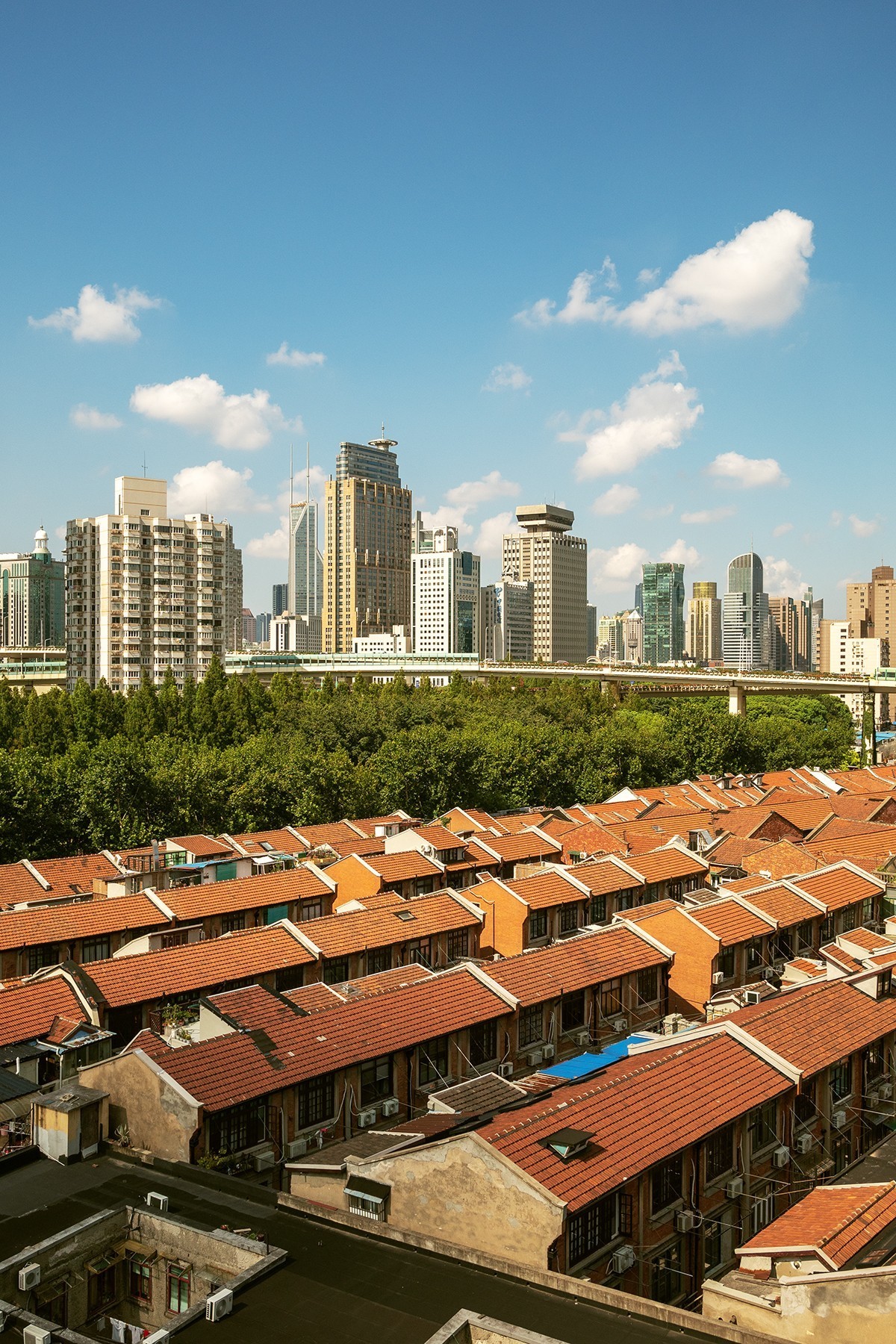 抓住夏天的尾巴