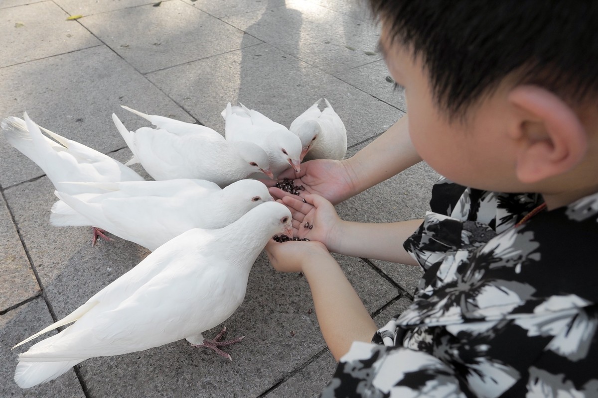 抓住夏天的尾巴