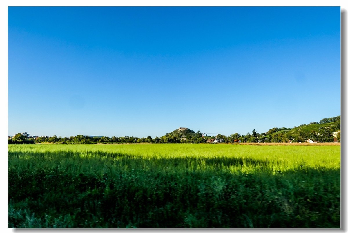骑行游拍之“田野”
